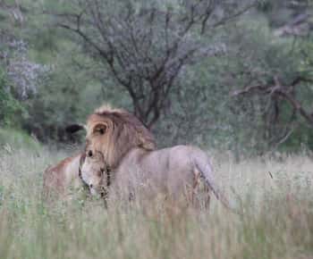 3-days adventure from Dar-es-Salaam to Mikumi National Park