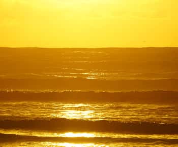 De la Essaouira: plimbare de 2 ore pe cal cu apus de soare