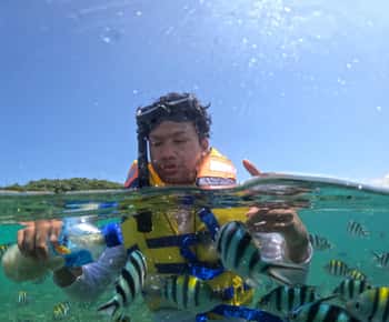 Explore e mergulhe com snorkel na ilha secreta de Gili Nanggu.