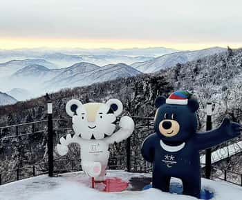 Seoul: Balwangsan Cable Car & Samyang Ranch One Day Tour