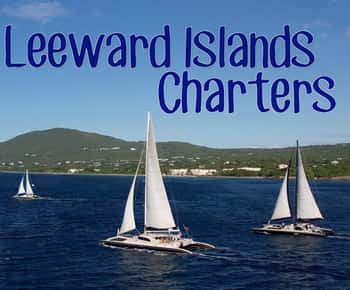 Basseterre: Kitts 4-timers snorkelsafari med katamaran og frokost