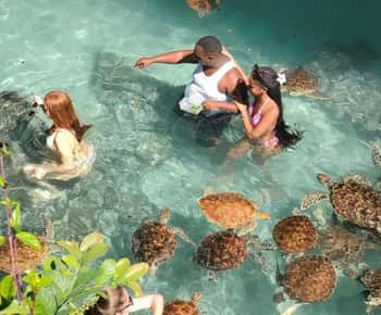 Zanzibar: Salaam Cave Swimming with Turtles Tour
