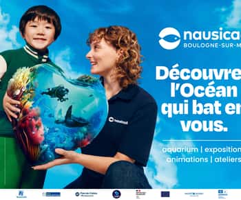 Nausicaá National Sea Center: Full-Day Entry Ticket