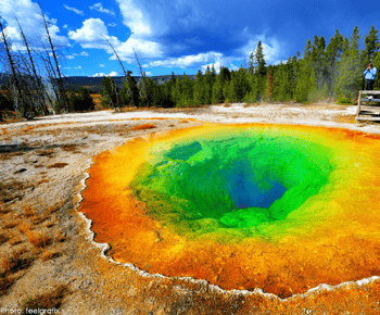 From Salt Lake City: 7-Day Yellowstone and Las Vegas Tour