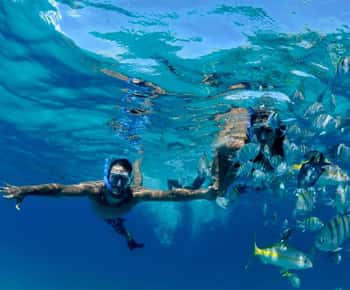 Puerto Morelos: Snorkeling at The National Reef Park