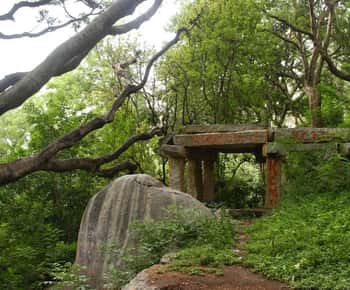 Bangalore : Antargange Guided hiking