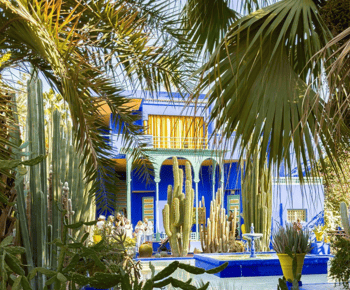 Explorați Marrakech: Majorelle, YSL, monumente și piețe