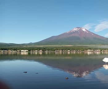 Privétour van een dag naar de berg Fuji vanuit Tokio (aanpasbaar)
