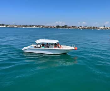 Umago: Tour mattutino in barca per lo snorkeling e il dolphinwatching