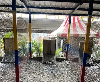 Medellin: Tejo Sport with Food and Drinks
