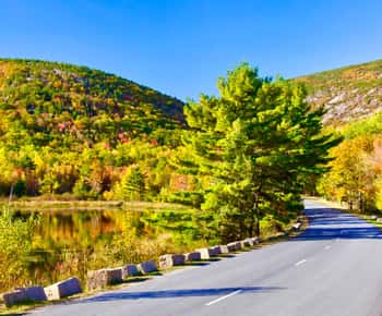 Acadia & Mount Desert Island: Private Full-Day Tour