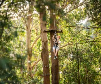 Newcastle: Tree Ropes Course Adventure