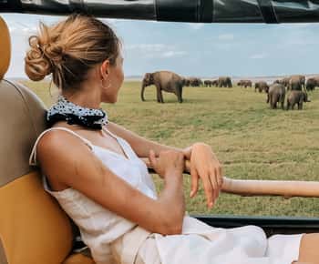 De Ella: Safári em Udawalawe com visita à casa de trânsito de elefantes
