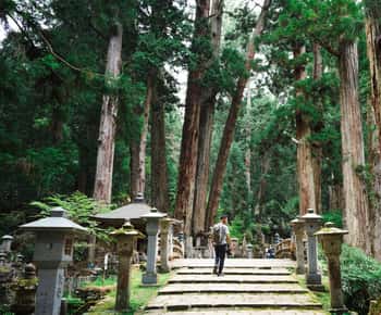 高野山金剛峯寺 チケット＆ツアー | ゲットユアガイド | GetYourGuide