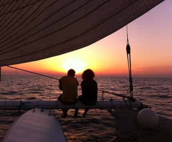 Port Camargue: Half-Day Sailing Tour on a Racing Catamaran