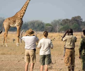 Full day trip in saadani national park