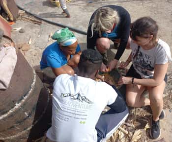 Discover traditional Cape Verdean cuisine