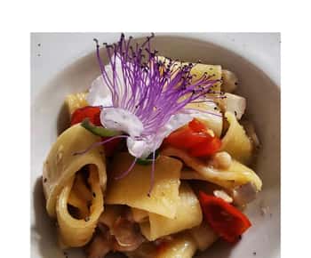 Pantelleria: clase de cocina de platos típicos en un dammuso