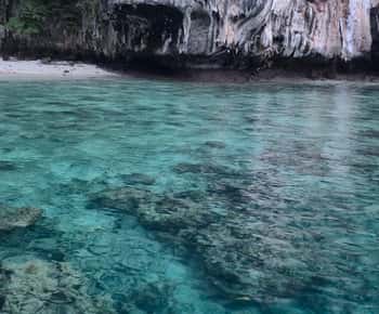 Ko Phi Phi Don: Dagsudflugt med speedbåd og hajsnorkling