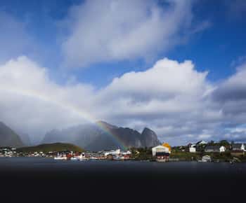 Lofoten: Tour privato in battello (da Leknes)