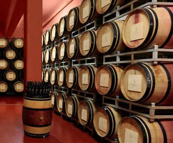 Arezzo Experience: Wycieczka po piwnicach i degustacja wina