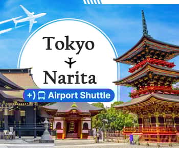 東京：成田＆佐原日帰りツアー（空港送迎オプション付き）