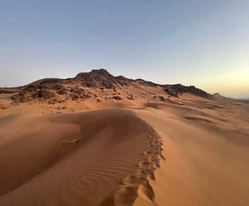 From Ouarzazate: 2-Day Excursion to Zagora Desert