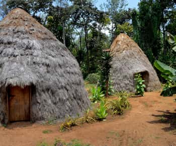 Moshi: Chagga Village Tour