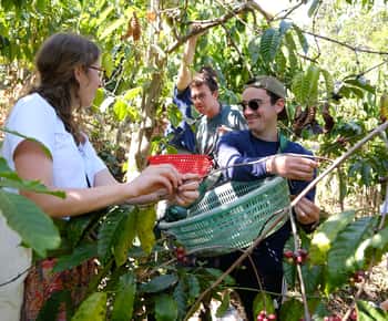 Experimenta cómo se elabora el café en una finca sostenible de Dalat.