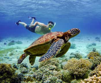 Cebu: excursão de 2 dias pelas ilhas, canoagem e tubarões-baleia