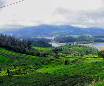 Coimbatore: Ooty Day Trip with Private Cab