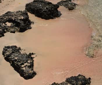 From Rethymno: Elafonisi Beach - private tour by SUV
