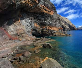 From Funchal: Guided Tour to Desertas Islands