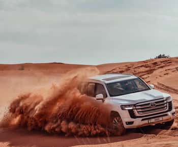 Doha: Desert Safari with Activities and Inland Sea Stop