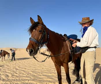 Authentic Tozeur on horseback with private transfer