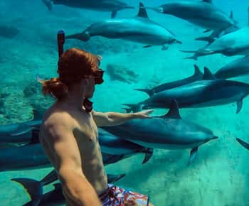 Mnemba: African Maldives Day Tour with Lunch