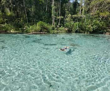 From Khao Lak/Khao Sok: Cheow Lan Lake and Emerald Pool Tour