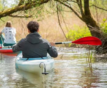 Biesbosch: Kajakverhuur met routekaart en zwemvest