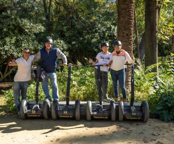 Seville City Tour: 3-Hour Historical Segway Adventure