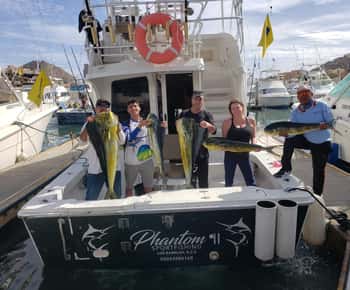 Excursión de pesca privada en Cabo en el Phantom II (crucero Luhrs de 36 pies)