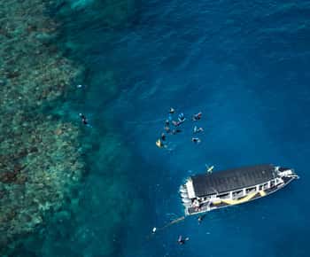 From Cairns: Great Barrier Reef Half-Day Snorkeling Tour