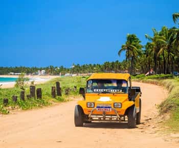Porto de Galinhas: 4-hour buggy tour from end to end