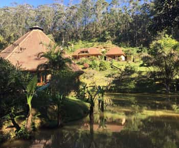 4 Days Adventure to wild Andasibe Mantasoa from Antananarivo