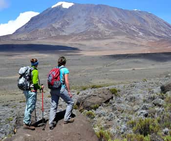 Kilimanjaro : Private 1-Day Trek with Certified Guide