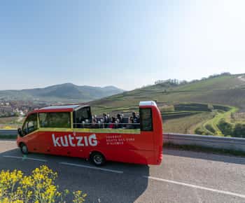 Alsace Wine Route: tour in a convertible bus with multiple stops