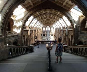 Natural Museum: Diplodocus, Volcanoes, Whale, and Gems