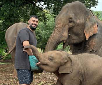 Chiang Mai: Excursión a Doi Inthanon y Santuario de Elefantes