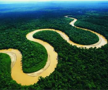 Iquitos: Amazoneregenwoud 2-daagse tour