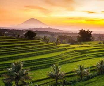 Bali: Jatiluwih UNESCO, Bratan Lake, Iconic Gate & Tanah Lot