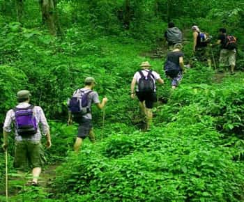 Excursión ecológica de senderismo de 2 días en Da Lat